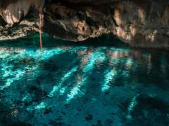 무신론자 공주는 석류 반 개의 꿈을 꾸는가 2