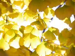 지금의 아버지는 친 아버지가 아니였다.