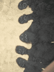 열아홉 스물하나