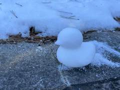 겨울에 태어난 아이