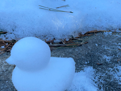 #2. 차가운 바람에 부딪히듯이