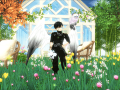 마비노기 스크린샷 백업 2