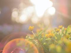 [유진래빈] 생존약속