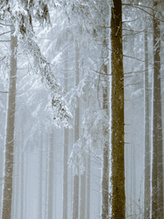 서쪽 아래 부서지는 유성