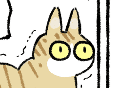 고양이에게 오해를 받았다.