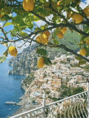 늪지대 단편 팬픽