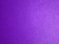 유노아/3학년/XX