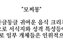 닫종 종족 간단 소개틀