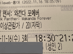 Black Panther: Wakanda Forever