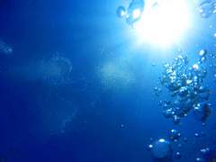 밤 바다의 어둑서니 고래