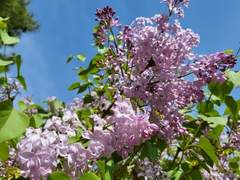 산들바람 향기를 따라