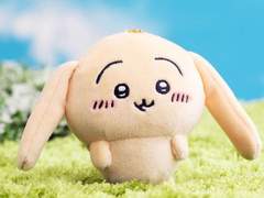 연성교환 타입 정리