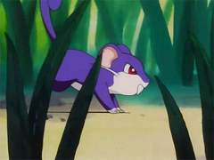 좋아, 전광석화!