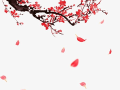 매화가 피는 날 (마지막화)