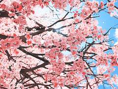 [화산귀환] 선조가 돌아왔다