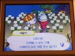 엔시티 나페스 추천