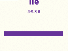 lie