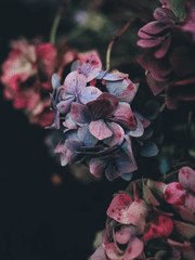 종말을 멈추는 법