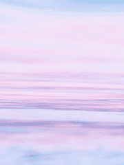 이상한 나라의 뿌