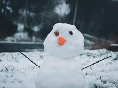 [세포신곡/레이사네] Mr. Snowman