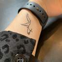 스튜디오 레비아탄