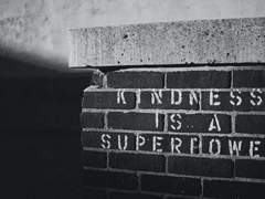 착각도 병이지 #3