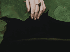 (코난/아카이슈이치) 셸레 그린 6 (재업)