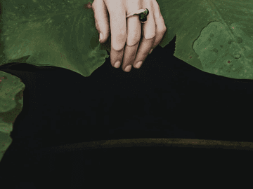 (코난/아카이슈이치) 셸레 그린 6 (재업)