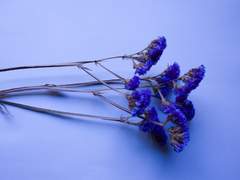 말 잘 들으려는 노력은 하겠지.