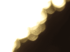 죽은 시인의 사회