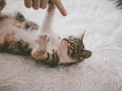 사랑의 기술 12. I love me, but I love you more. prologue