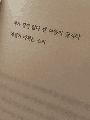 청춘워리어