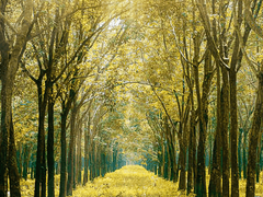 안녕 겨울, 안녕 봄 1-(1)