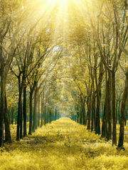 안녕 겨울, 안녕 봄