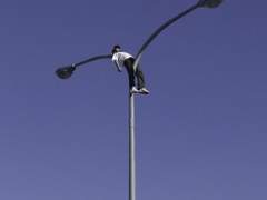 공사다망한 첫사랑