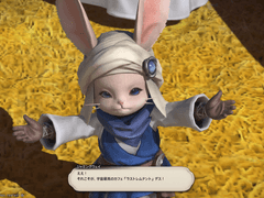 오미크론 서약★ 퀘스트 "이곳에서 기억하는 우주의 맛"