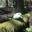 일단은 오메르타