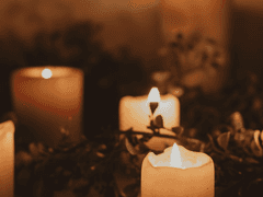 캔들버드 설정 백업