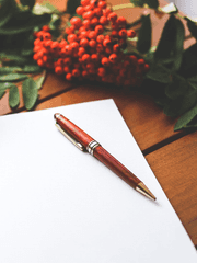 백사부 감상글 모음집