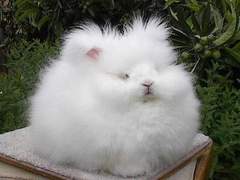 [데못죽] 비 오는 날의 괴담