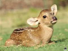 [데못죽] 술게임을 누가 이렇게 하는데