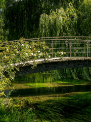 읽고 보고 쓰는 것