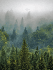 뱀파이어와의 동거