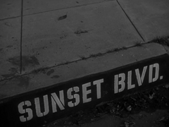 [죠죠]Sunset Blvd.(시죠세/승죠세)