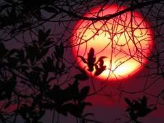 호리키 키유우 男 17