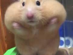 [데못죽] 테스타 숙소의 비밀