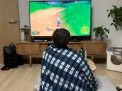 트위터의 멸망을 대하는 우리의 자세