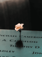 월드 트리거 잡담