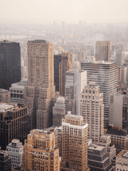 데스노트 월엘 총리 야가미 라이토