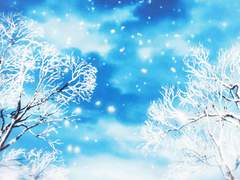 겨울의 품에서 따스함을 느끼다.